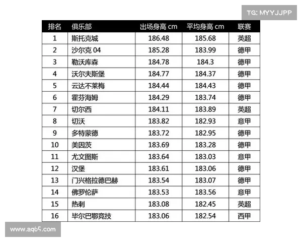 足球俱乐部转会成功率分析与影响因素探讨